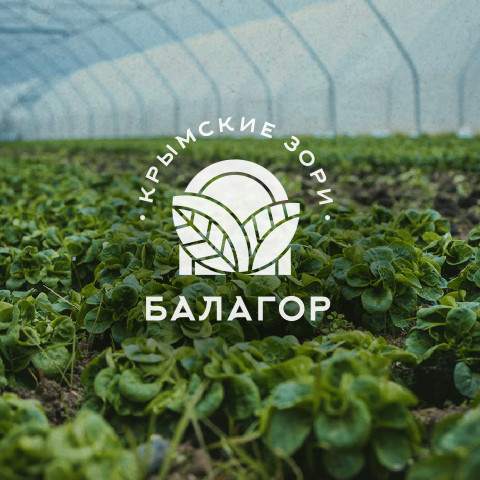 Оптовая база «Крымские зори»,<br>г.&nbsp;Крымск
